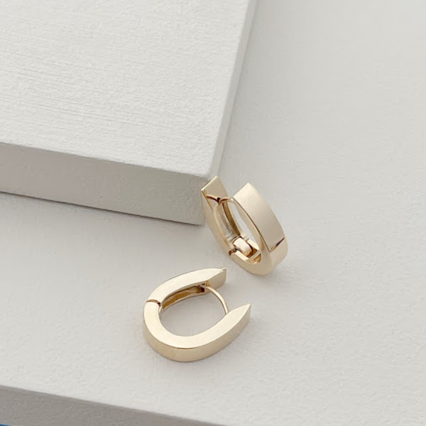 Bold Oval Hoop Earrings-evy designs